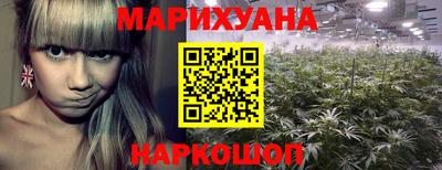 прущие крисы Донецк